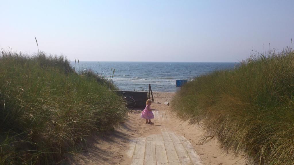 Vejby Strand Hotel Vejbystrand ภายนอก รูปภาพ